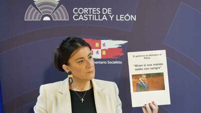 La secretaria de Organización del PSOE en Castilla y León, Ana Sánchez, muestra una imagen de Rául de la Hoz