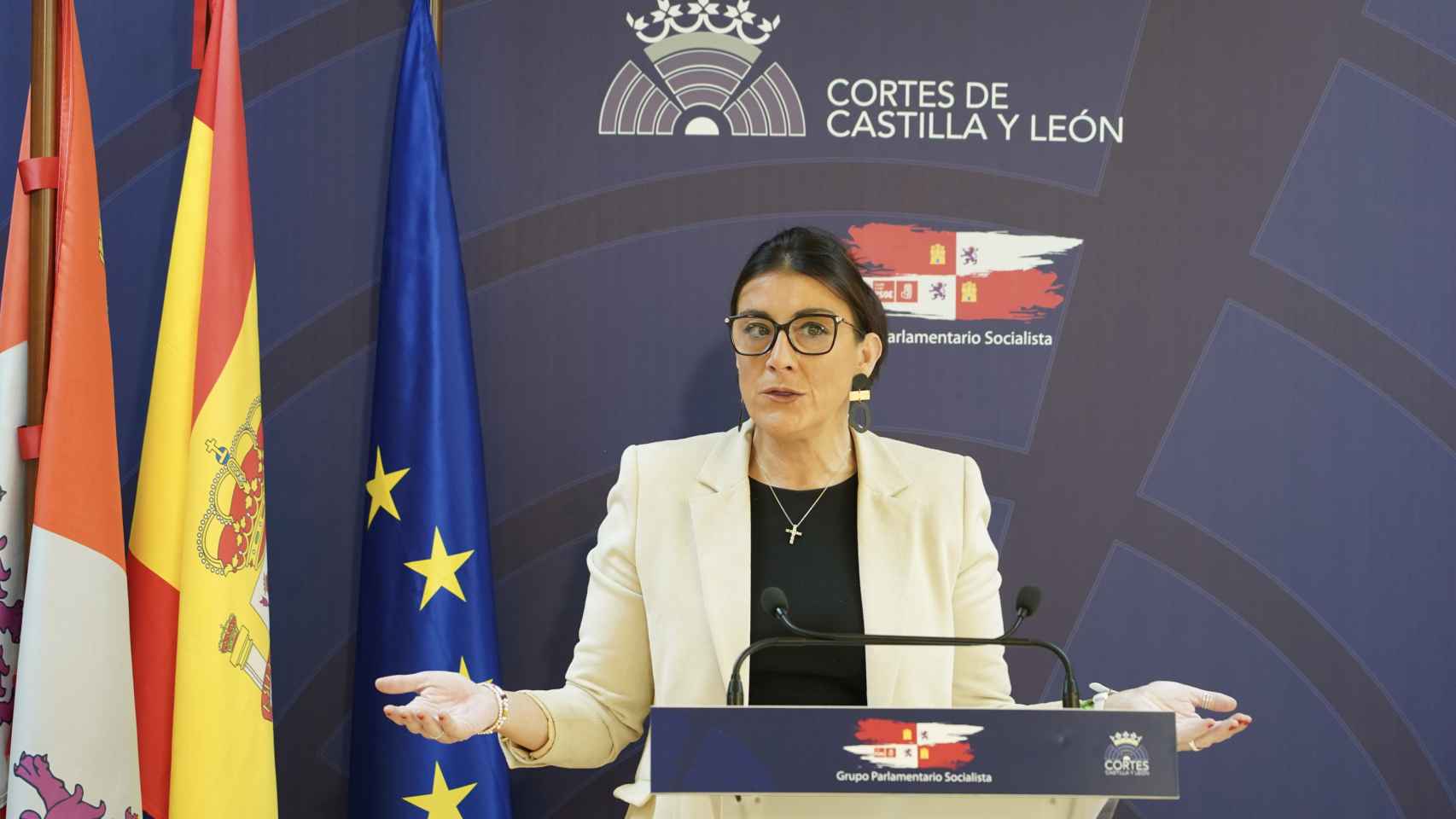 La secretaria de Organización del PSOE en Castilla y León, Ana Sánchez, analiza diversos asuntos de actualidad política de Castilla y León.