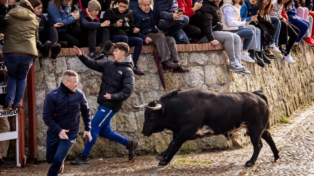 Una serie embestida en el encierro del lunes del Carnaval del Toro de Ciudad Rodrigo