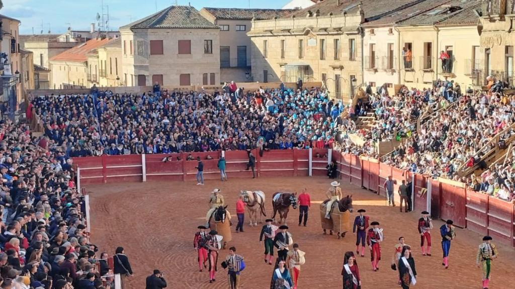 Novillada con picadores en el Carnaval del Toro de Ciudad Rodrigo