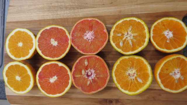 Variedades de naranja.