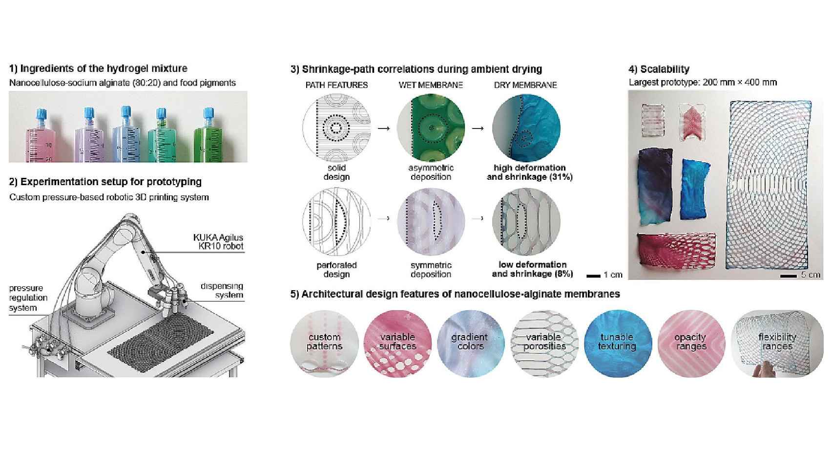 Algunas de las pruebas del material de nanocelulosa obtenidas con impresión 3D