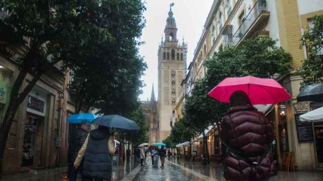 Peatones con paraguas se protegen de la lluvia en Sevilla.
