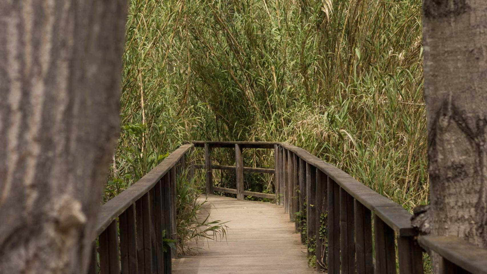 Sendero de la ruta de los Molinos, en Alborache (Valencia). EE