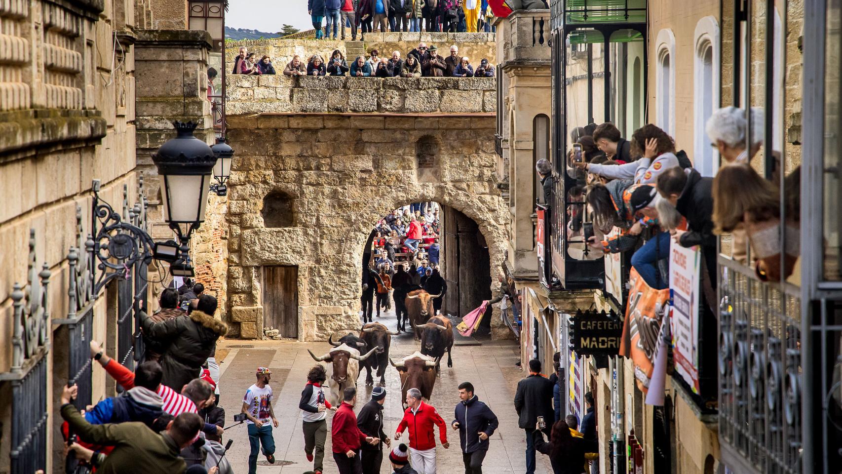 Carnaval del Toro en Ciudad Rodrigo