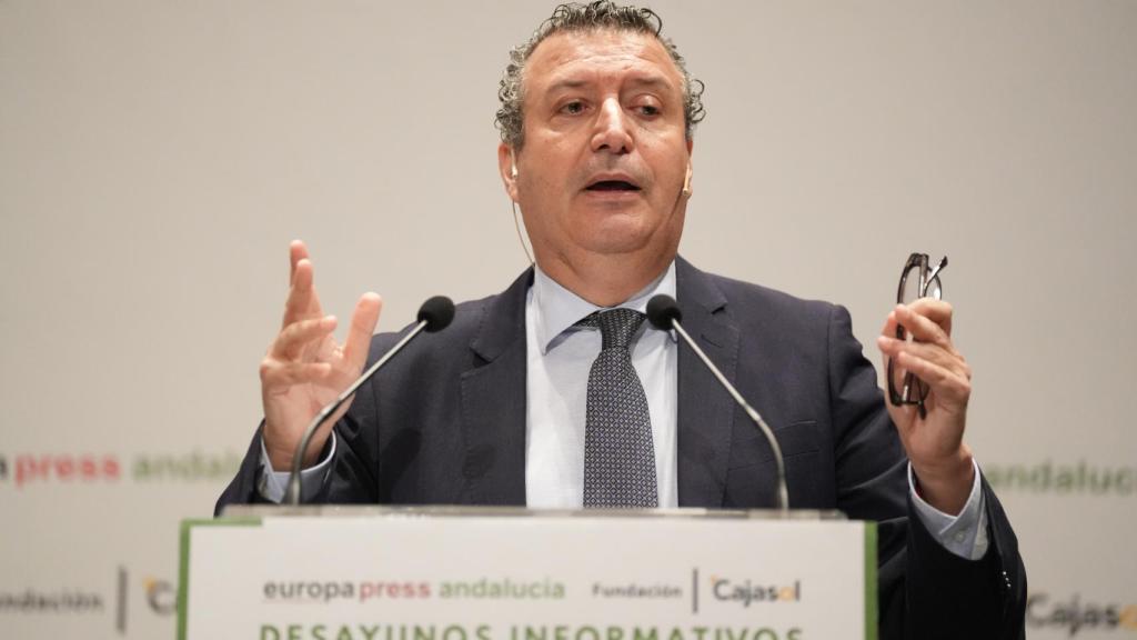 Javier Fernández, presidente de la Diputación de Sevilla