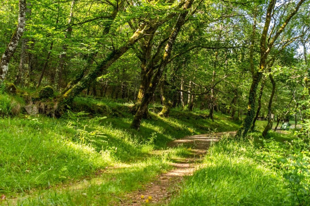 Sobreiral do Arnego. Foto: Turismo Rías Baixas