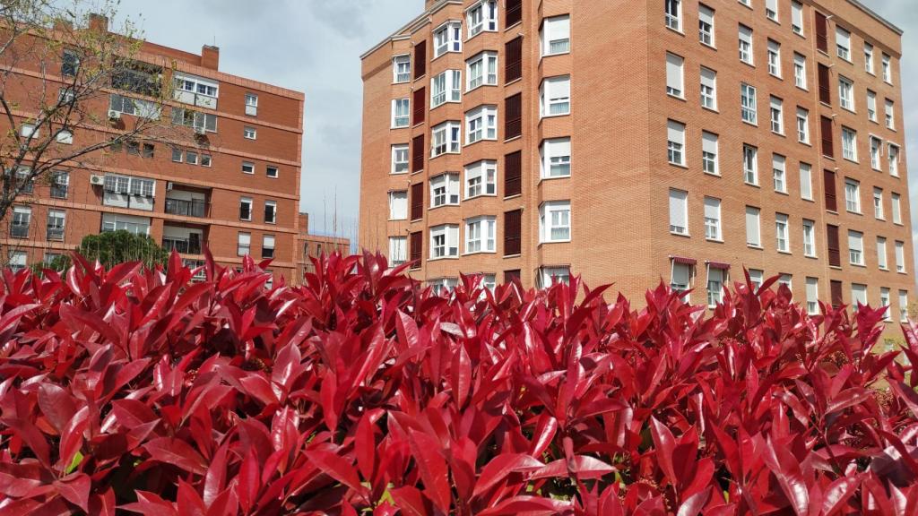 Edificio de viviendas en Madrid.