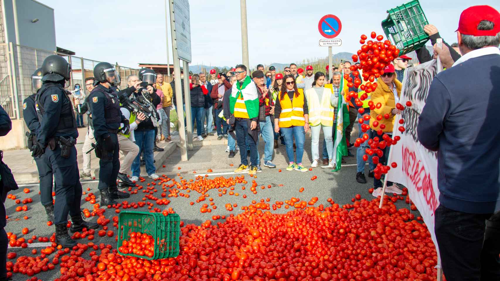 Agricultores arrojan tomates durante una concentración el puerto de Motril (Granada)