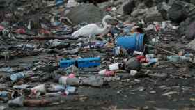 Desechos plásticos y escombros cerca de la playa en la ciudad de Panamá, a 19 de julio de 2019.