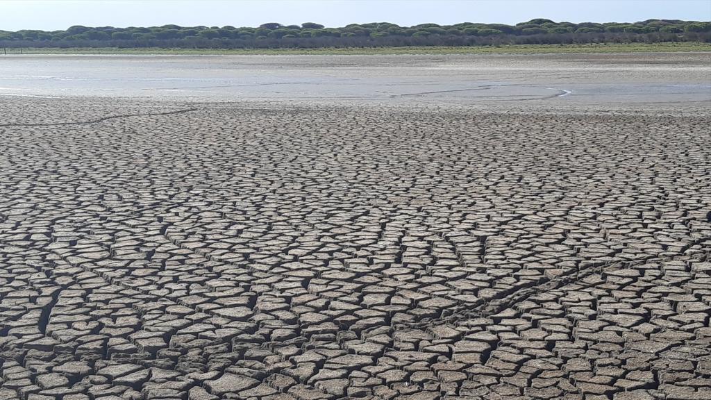 Imagen de archivo la laguna de Santa Olalla, en Doñana.