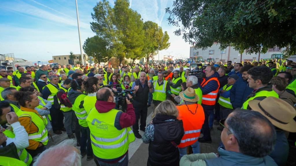 Cientos de agricultores en Carmona (Sevilla)