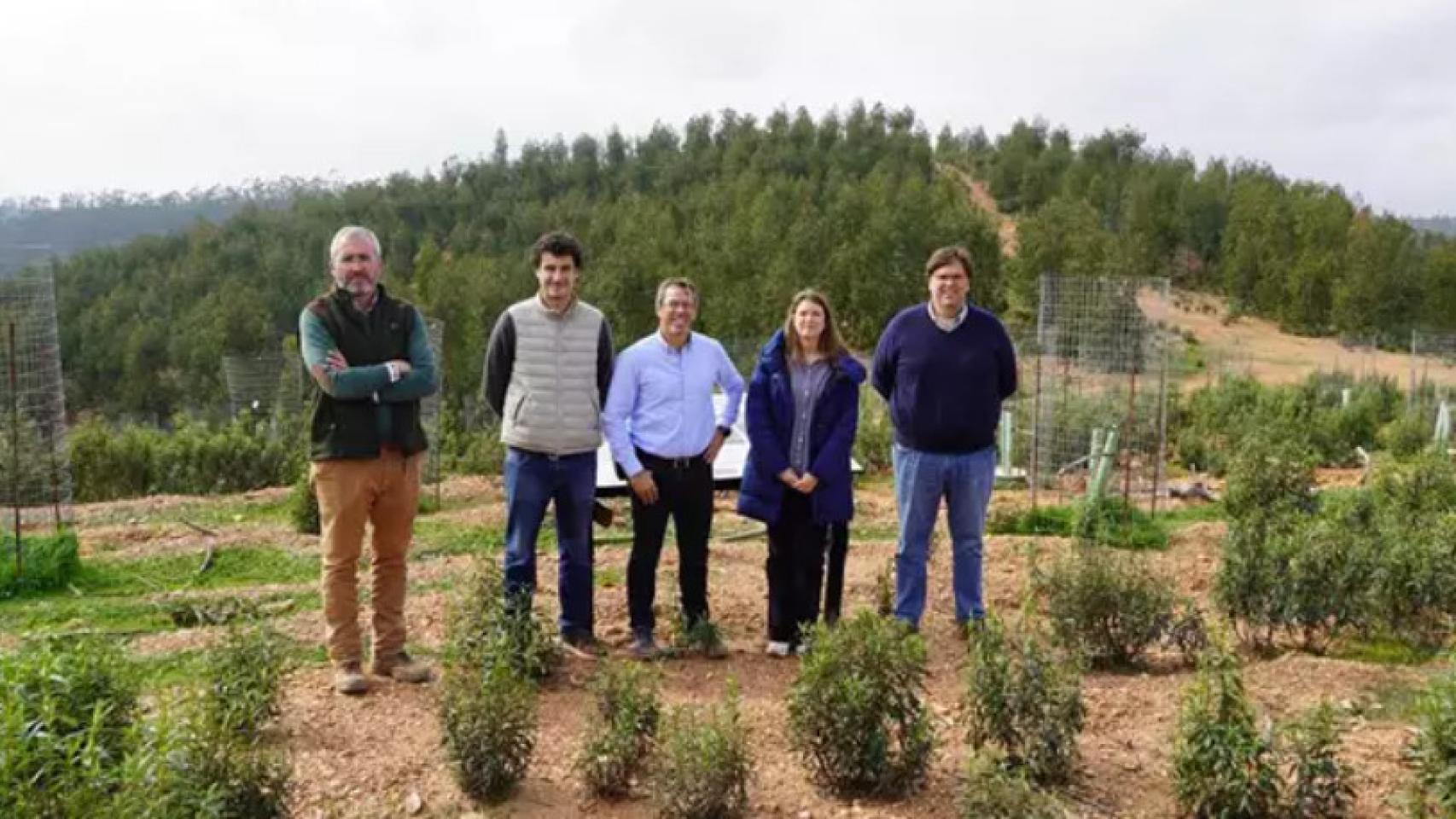 Al empresa sevillana Surtruck se abona al verde: encadena dos años compensando su huella de carbono