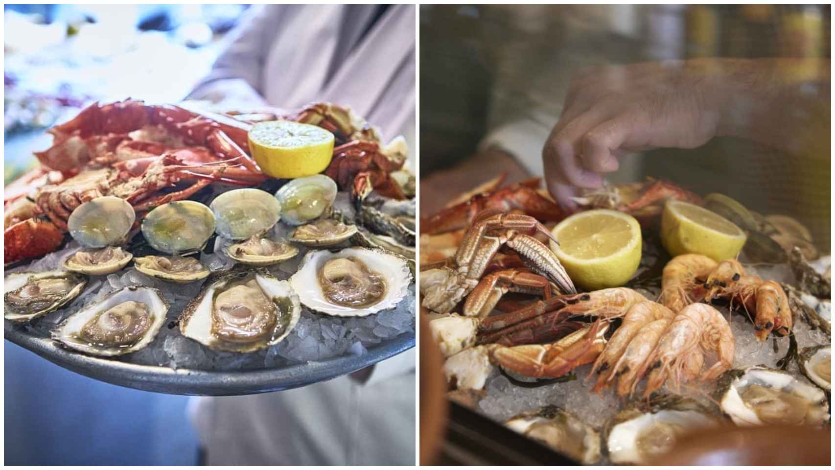 Imágenes de los deliciosos platos de marisco en El Pescador.