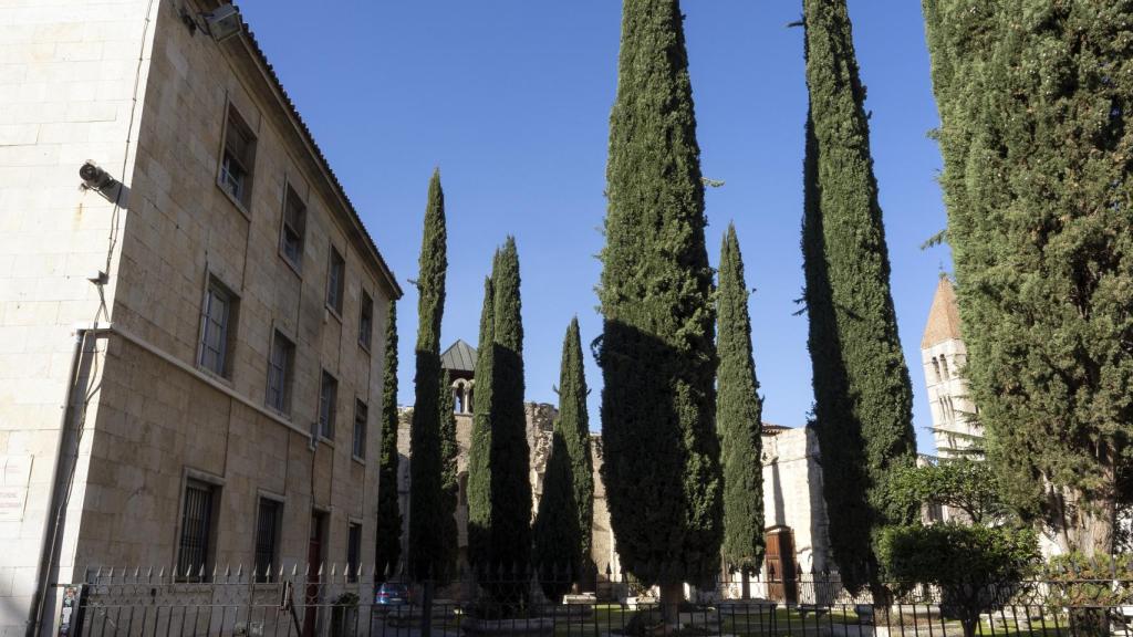 Patio de los Cipreses