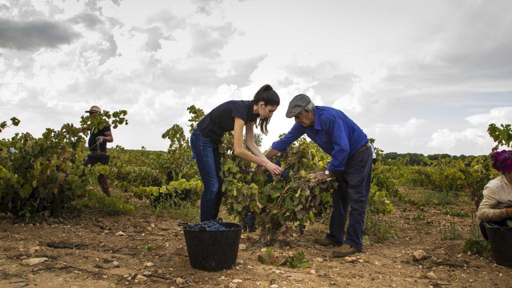 Sofía y su abuelo, José María, tercera y quinta generación de la familia Cañizares, durante la vendimia.