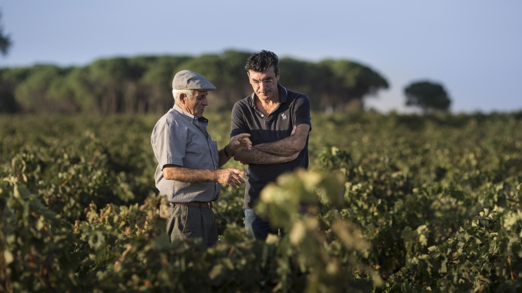 A su 83 años, José María Cañizares le sigue dando consejos sobre vitivinicultura a su hijo, Rafael.