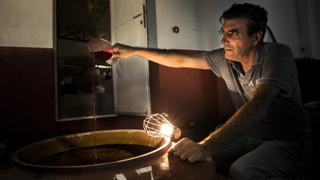 Rafael Cañizares es enólogo y está al mando de las Bodegas Volver.