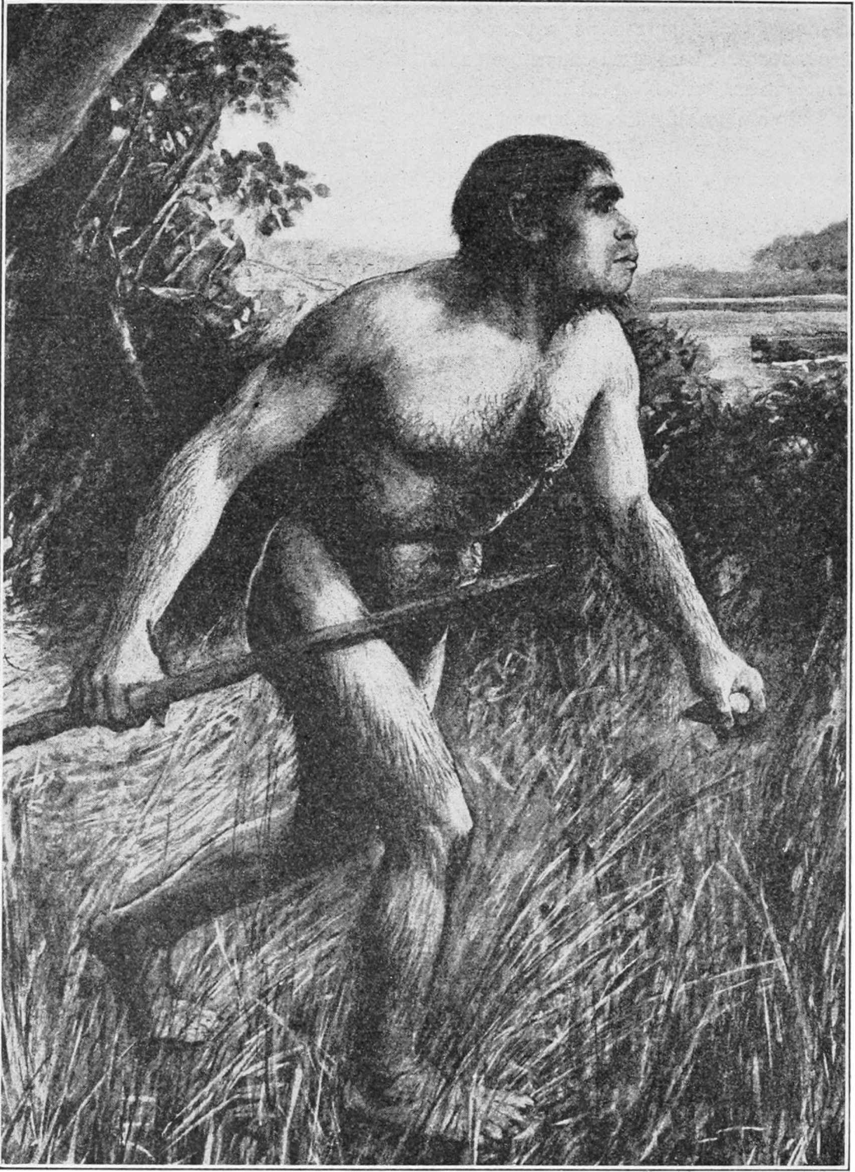 Ilustración idealizada del hombre de Piltdown en 1913