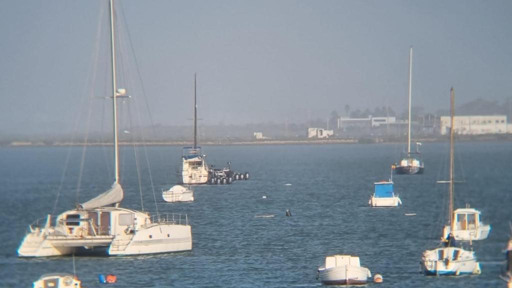 Narcolanchas camufladas tras unas embarcaciones de recreo.