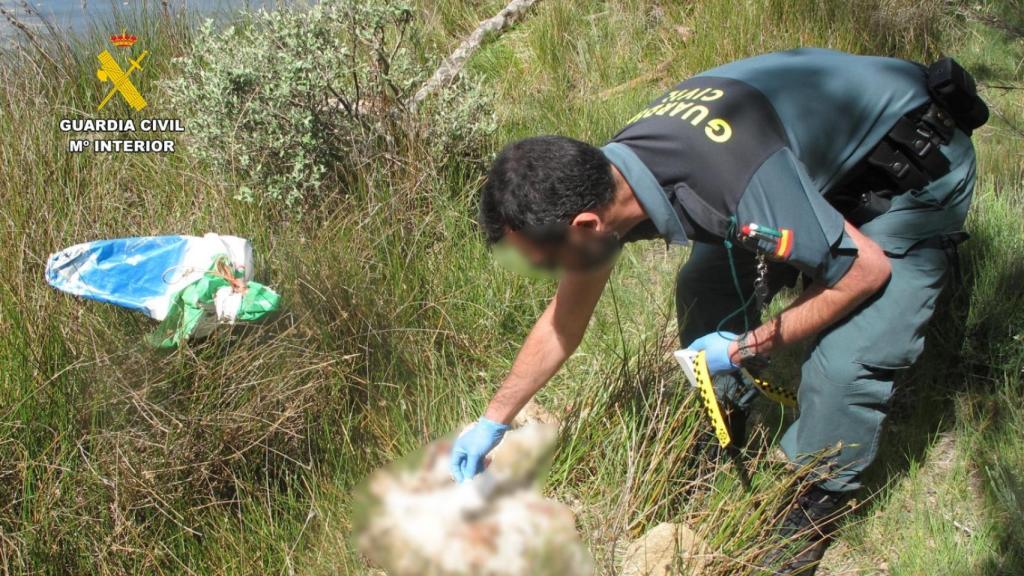 Los cadáveres de cinco cachorros de mastín en el embalse de Valparaíso