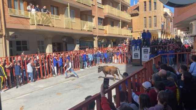 Encierro del Toro de Carnaval de Medina de Rioseco