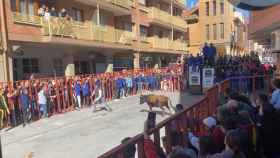 Encierro del Toro de Carnaval de Medina de Rioseco