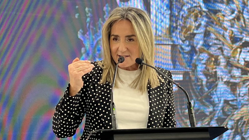 Milagros Tolón, delegada del Gobierno en Castilla-La Mancha. Foto: Redes sociales de Tolón.