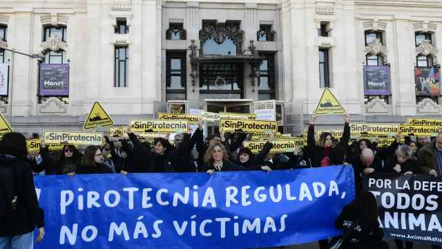 Manifestación contra la mascletá, este sábado, en Madrid.
