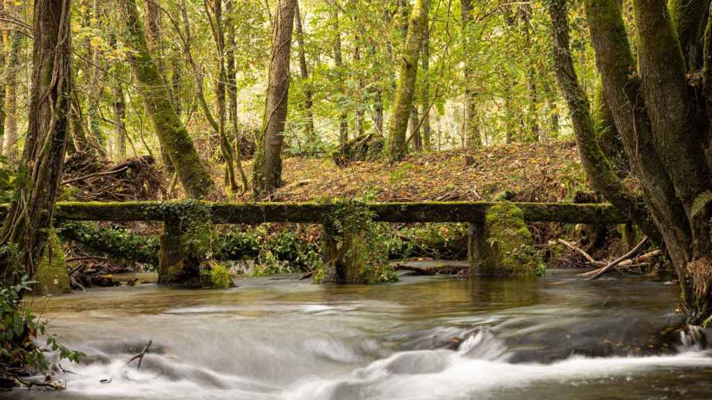 Río Deva, en Valeixe (A Cañiza, Pontevedra).