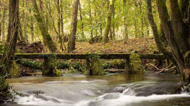 Río Deva, en Valeixe (A Cañiza, Pontevedra).