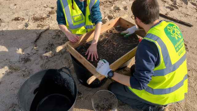 Voluntarios en la playa de Canelas, en Portonovo, a 17 de febrero de 2024.