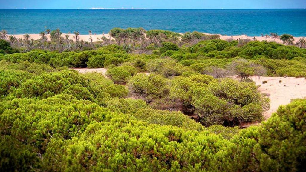 Las Dunas de Guardamar.