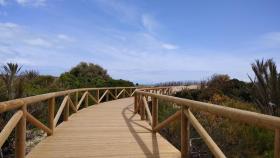 El paseo por la Pinada de Guardamar.