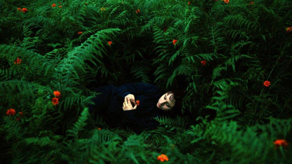 Una imagen de 'The Human Hibernation'