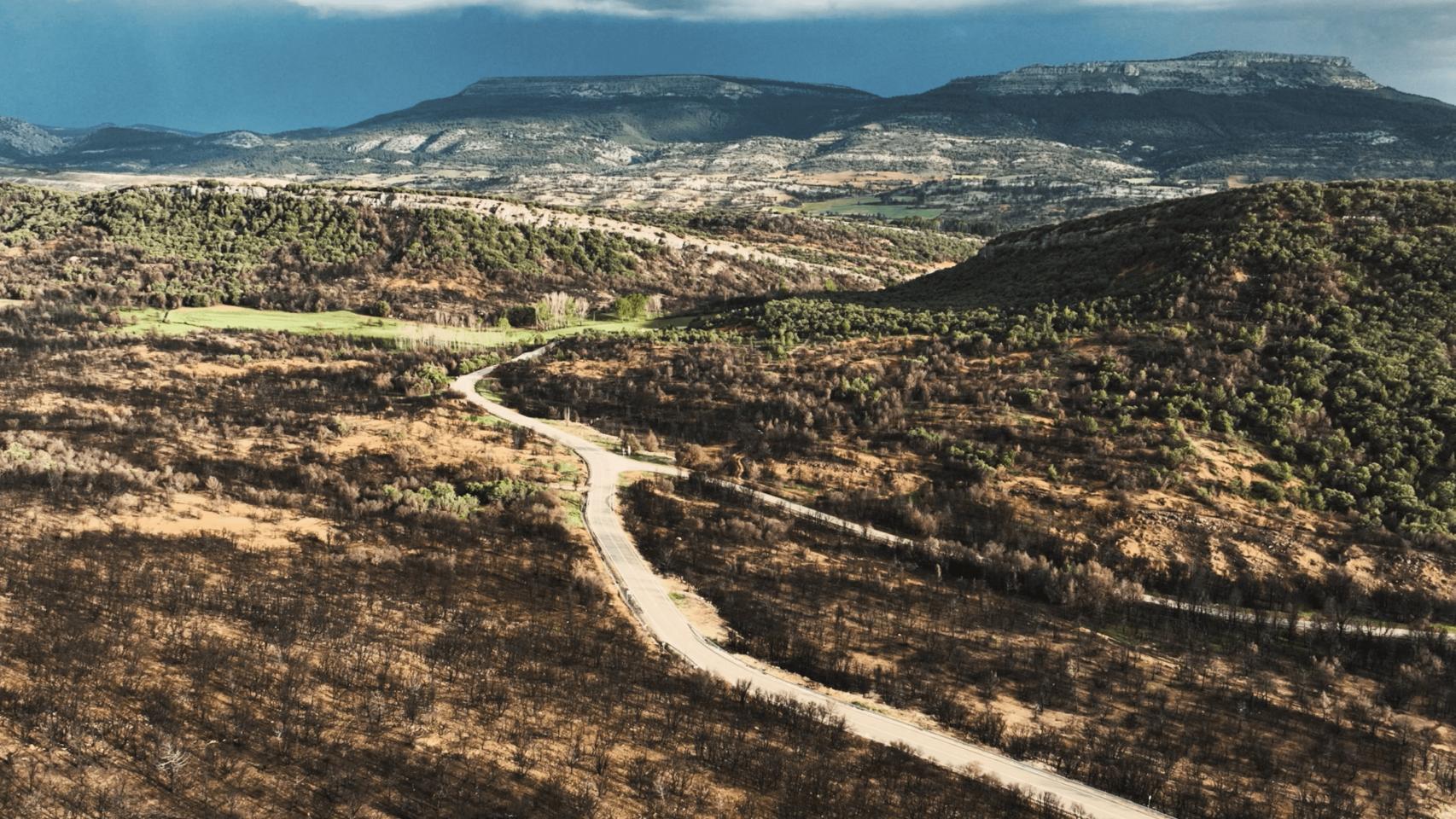 La bodega solidaria que reforesta este parque natural de Burgos: 3 vinos para 1.945 árboles nuevos