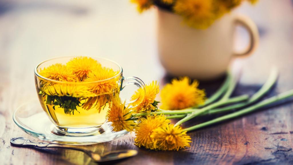 Una infusión de diente de león