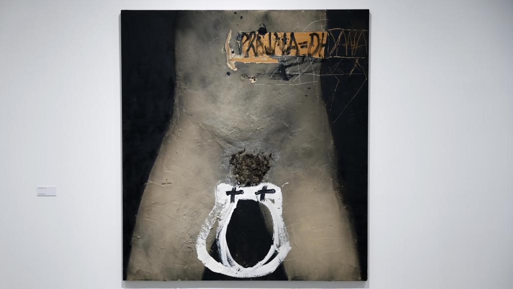 Vista de la obra Diana de la exposición 'Antoni Tàpies. La práctica del arte' en el museo Reina Sofía. Foto: EFE/ Chema Moya