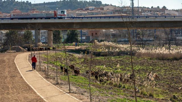 Las obras de la senda verde entre Santa Bárbara y Azucaica fueron adjudicadas en septiembre de 2023 por un procedimiento abierto.