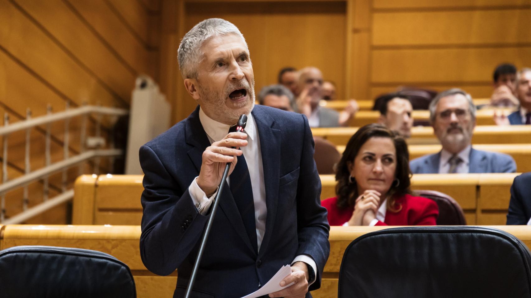 El ministro del Interior, Fernando Grande-Marlaska, interviene en la sesión plenaria de este martes en el Senado.