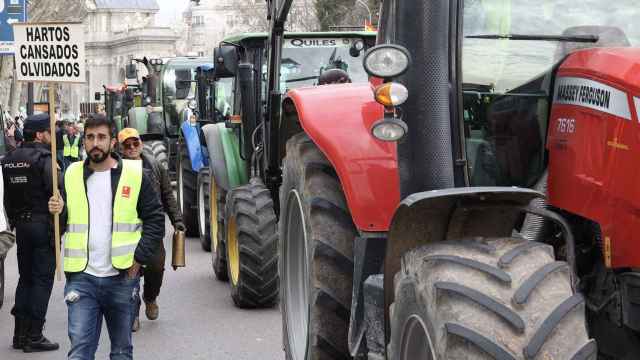 Agricultores y ganaderos en la tractorada celebrada en Madrid