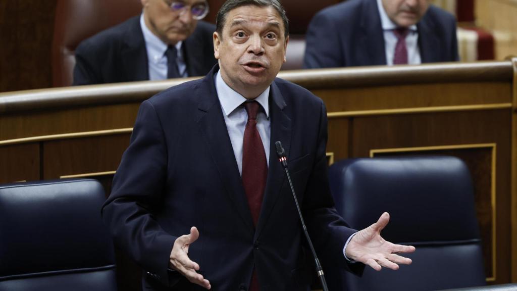 El ministro de Agricultura, Luis Planas, este miércoles en el Congreso.