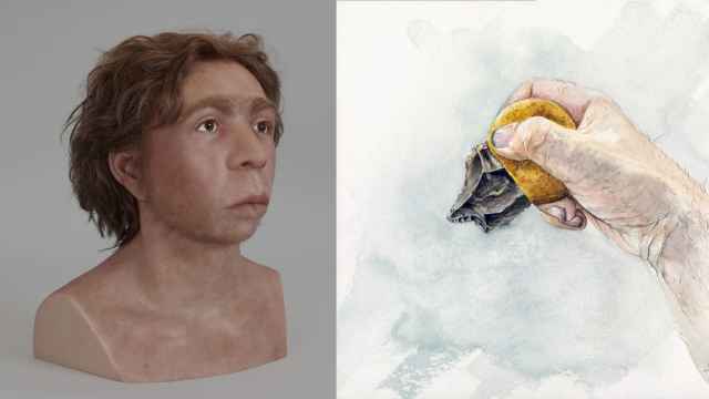 Reconstrucción del adolescente neandertal hallado en Le Moustier y de cómo pudo haber sido un artefacto lítico con mango usado por este individuo.