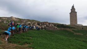 Estudiantes del Centro de FP Afundaciónde A Coruña retiran en el entorno de laTorre de Hércules más de una toneladade especies exóticas invasoras