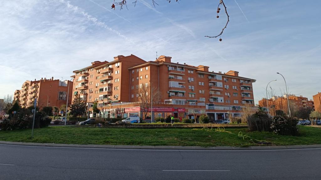 Empleados de Tagus limpiando la rotonda de los patos de Toledo.