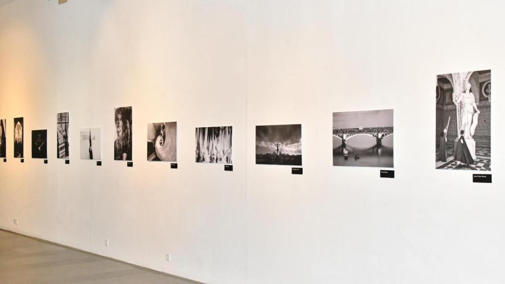 Algunas de las fotografías expuestas en el Ayuntamiento de Tomares