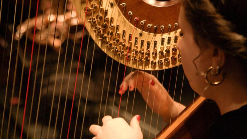 Joven Orquesta Sinfonica Ciudad de Salamanca (8)