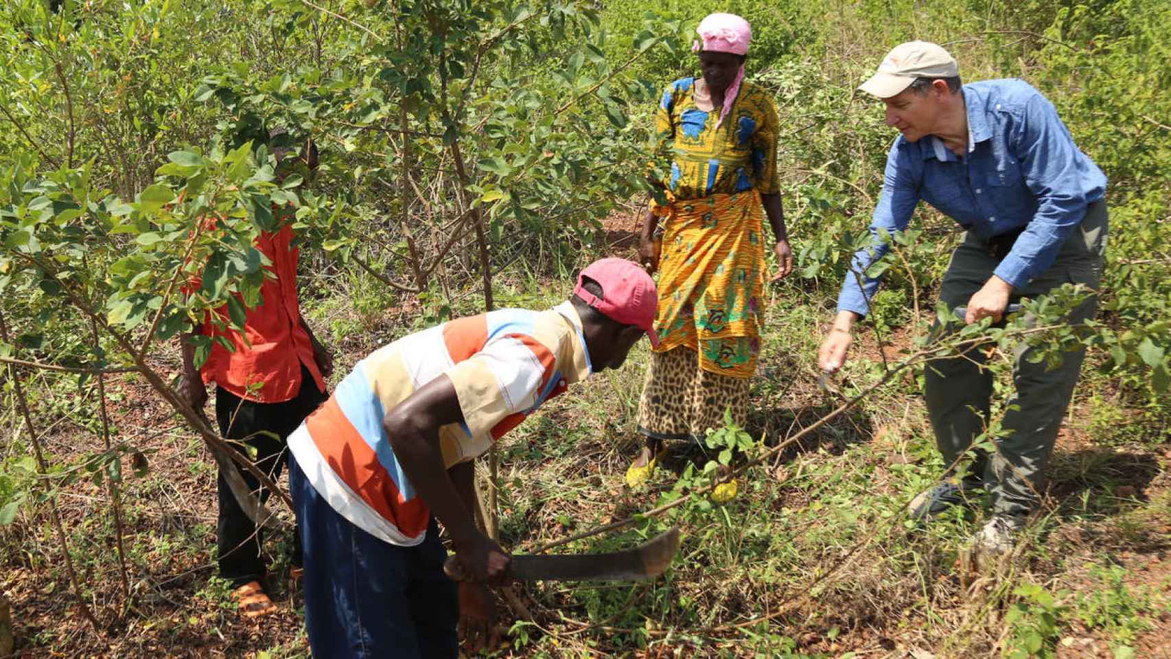 Voluntarios plantan árboles en el Programa de Reforestación Comunitaria.