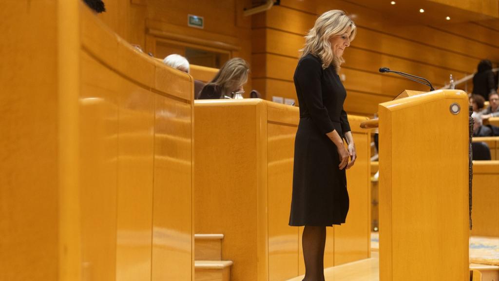 La vicepresidenta segunda y ministra de Trabajo, Yolanda Díaz, en un pleno en el Senado, durante las obras del Congreso.