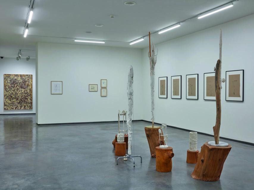 Vista de la exposición © Joaquín Cortés / Museo Helga de Alvear